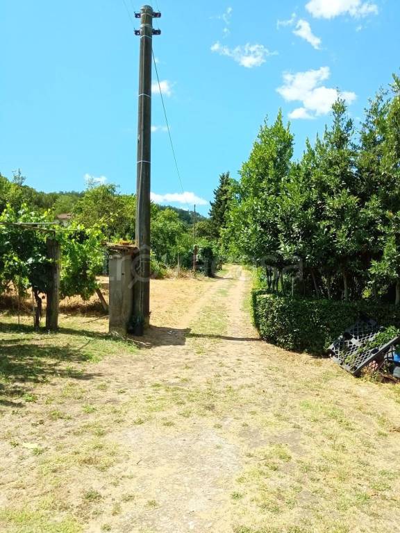 terreno agricolo in vendita a Lastra a Signa