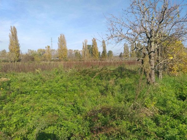 terreno agricolo in vendita a Lastra a Signa