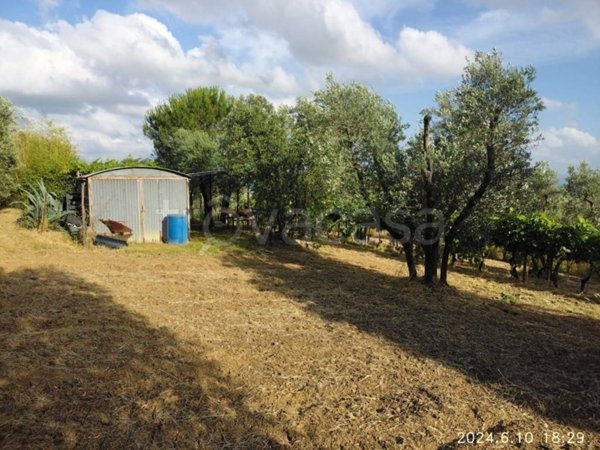 terreno agricolo in vendita a Lastra a Signa in zona Malmantile