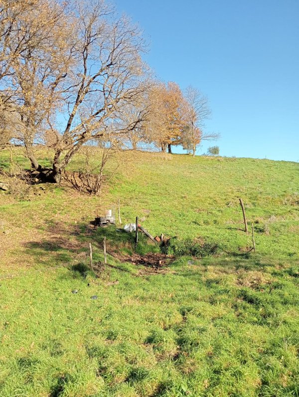terreno agricolo in vendita a Lastra a Signa in zona Malmantile
