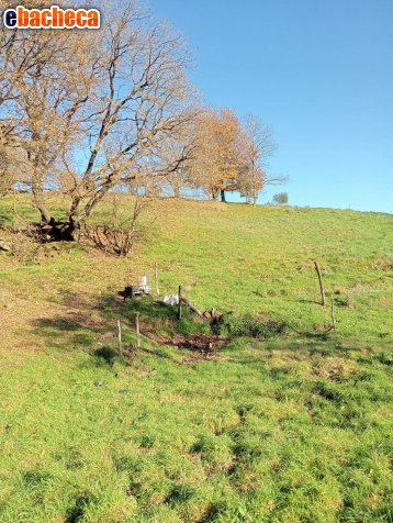 terreno agricolo in vendita a Lastra a Signa in zona Malmantile