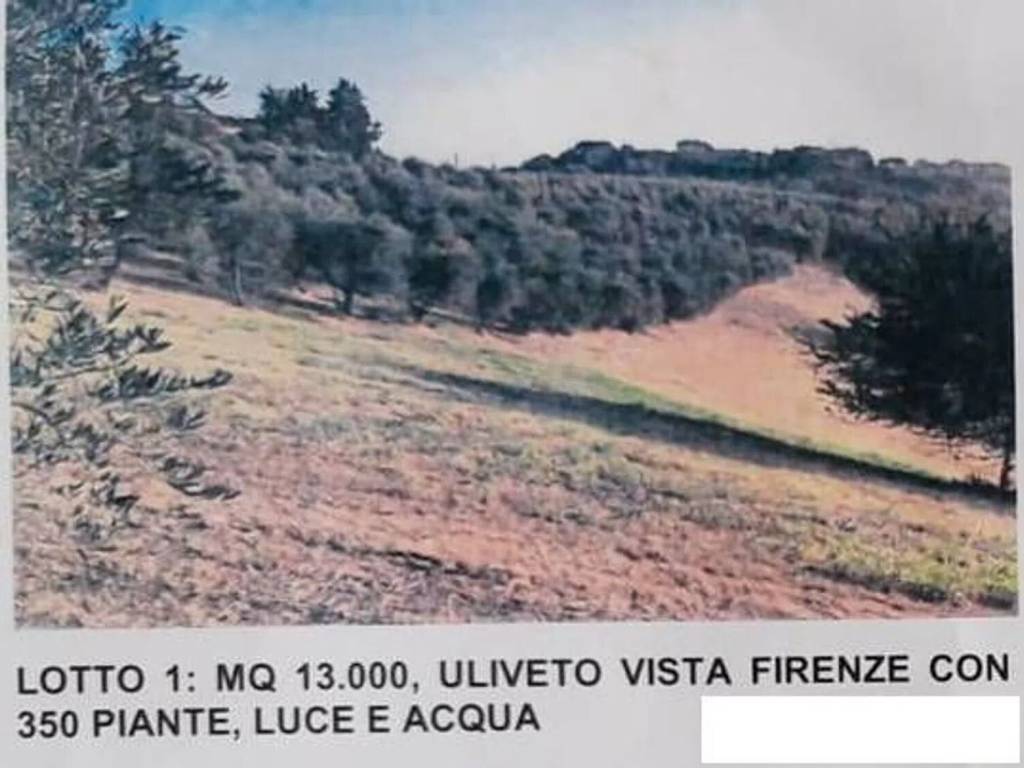 terreno agricolo in vendita a Lastra a Signa in zona Malmantile