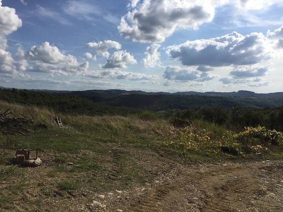 azienda agricola in vendita a Lastra a Signa