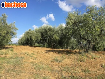 appartamento in vendita a Lastra a Signa