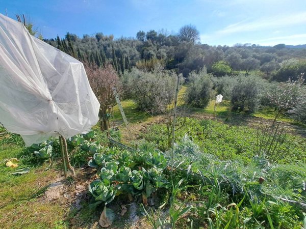 terreno agricolo in vendita a Lastra a Signa