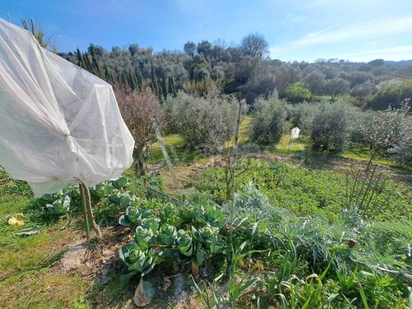 terreno agricolo in vendita a Lastra a Signa