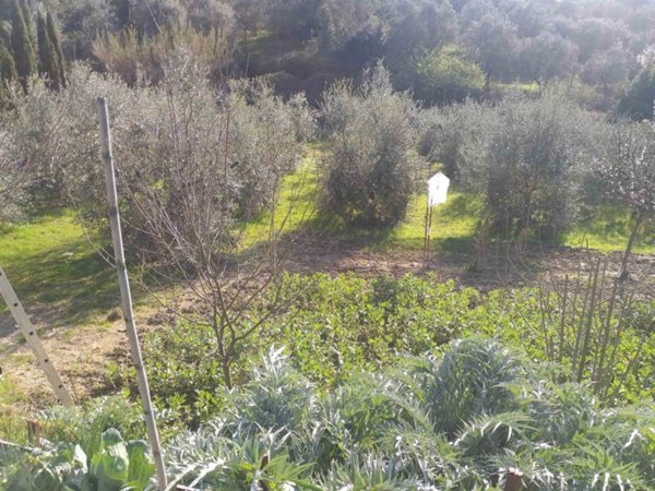 locale di sgombero in vendita a Lastra a Signa