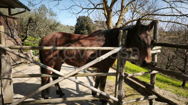 terreno agricolo in vendita a Lastra a Signa in zona Malmantile