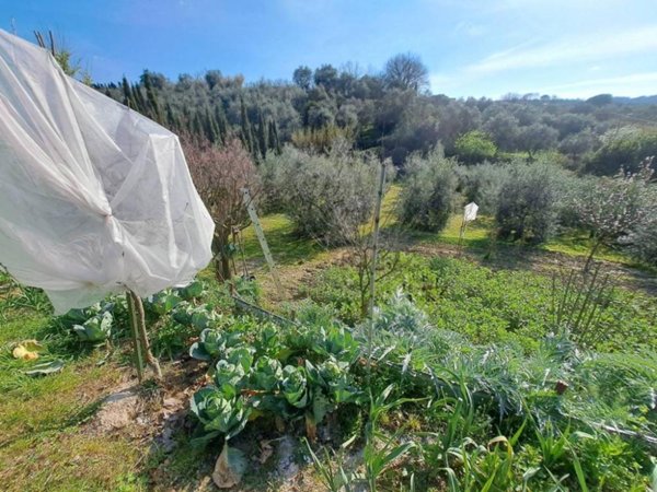 terreno agricolo in vendita a Lastra a Signa