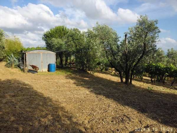 terreno agricolo in vendita a Lastra a Signa in zona Malmantile