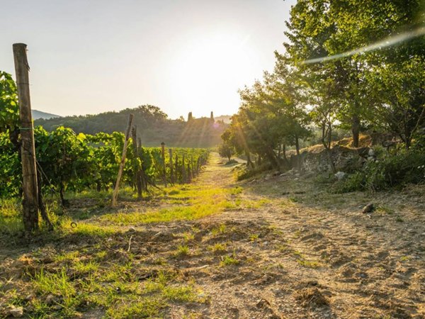 appartamento in vendita a Lastra a Signa