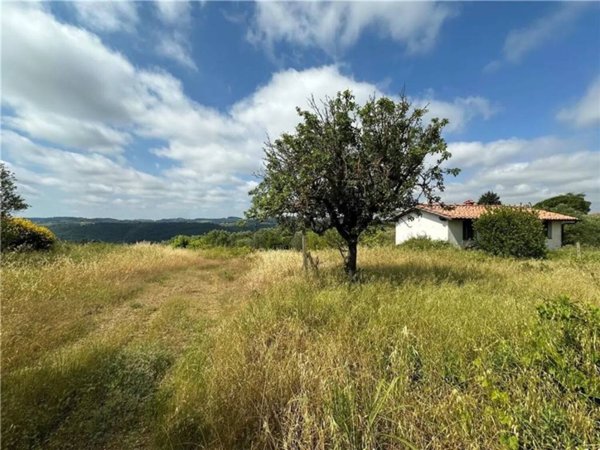 terreno agricolo in vendita a Lastra a Signa