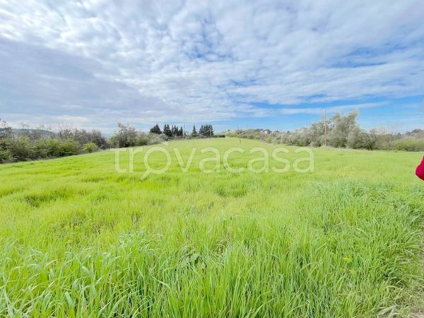 casa indipendente in vendita a Lastra a Signa in zona Carcheri