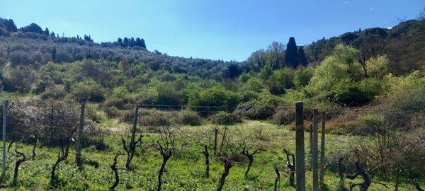 casa indipendente in vendita a Lastra a Signa
