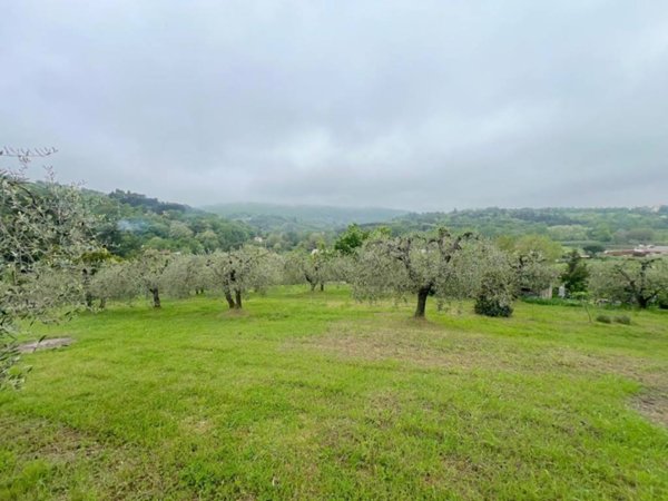 immagine annuncio 0 di 5