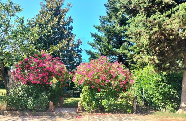 appartamento in vendita a Lastra a Signa in zona Ginestra Fiorentina