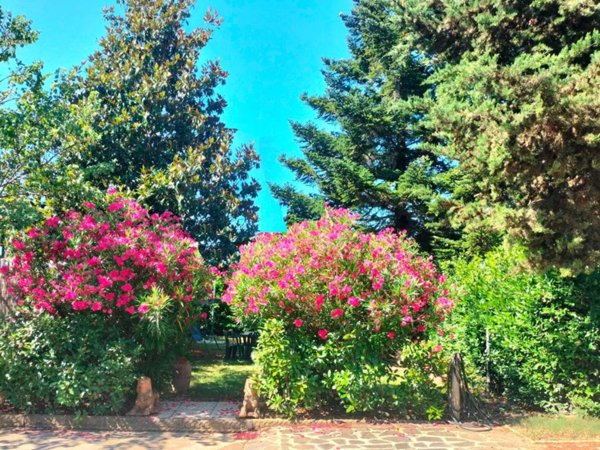 appartamento in vendita a Lastra a Signa in zona Ginestra Fiorentina