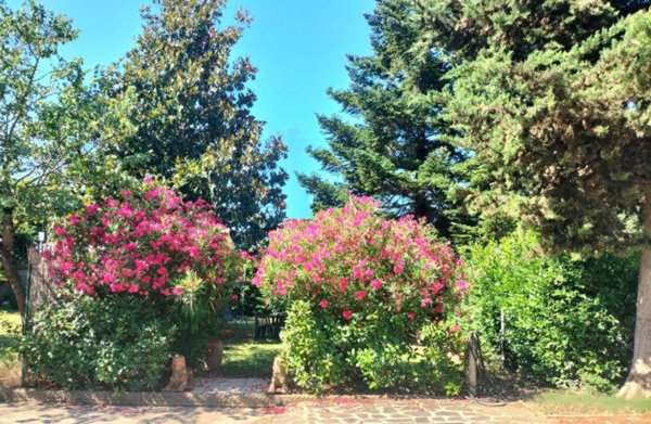 appartamento in vendita a Lastra a Signa in zona Ginestra Fiorentina