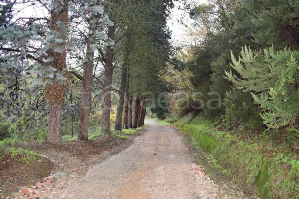 appartamento in vendita a Lastra a Signa