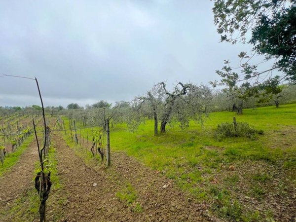 terreno agricolo in vendita a Lastra a Signa in zona La Lisca