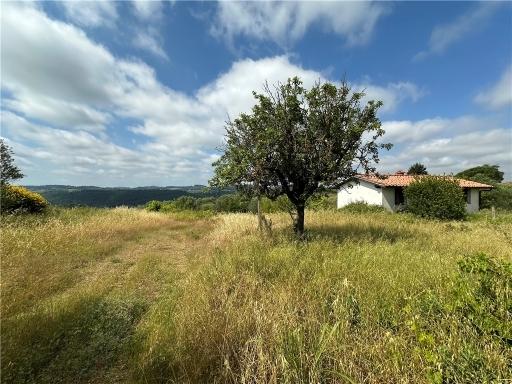 appartamento in vendita a Lastra a Signa in zona Malmantile