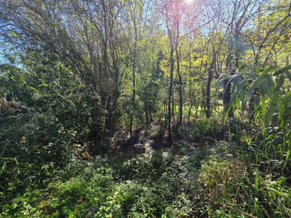 terreno agricolo in vendita a Lastra a Signa