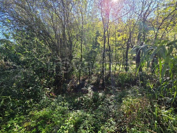 terreno agricolo in vendita a Lastra a Signa