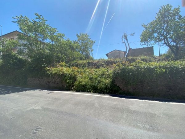 terreno agricolo in vendita a Lastra a Signa