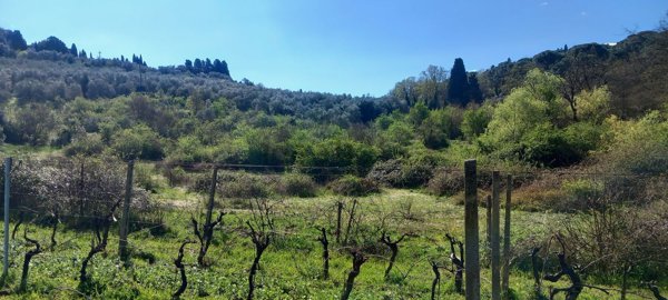 casa indipendente in vendita a Lastra a Signa