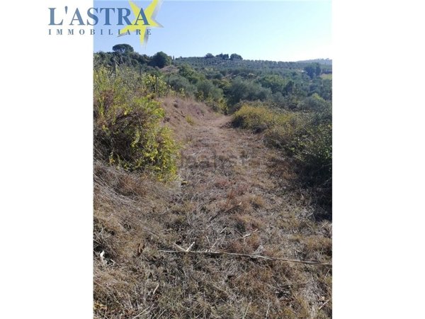 terreno agricolo in vendita a Lastra a Signa in zona Marliano