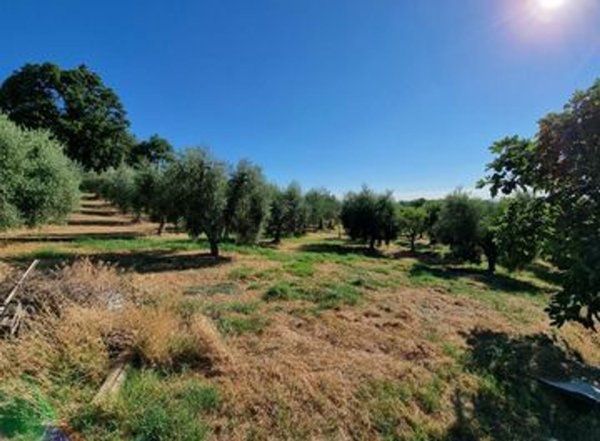 terreno agricolo in vendita a Lastra a Signa
