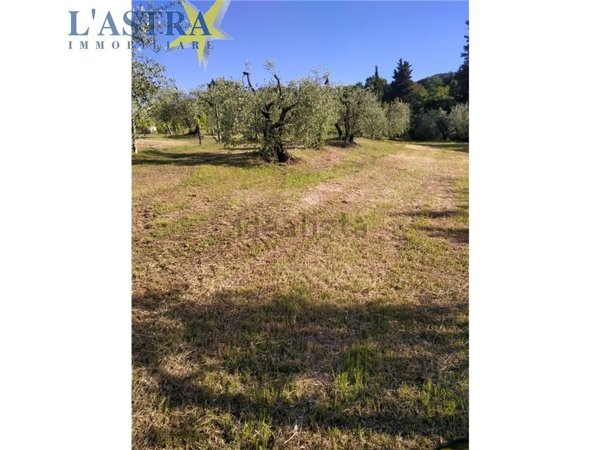 terreno agricolo in vendita a Lastra a Signa