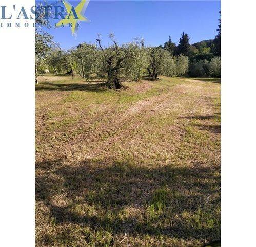 terreno agricolo in vendita a Lastra a Signa