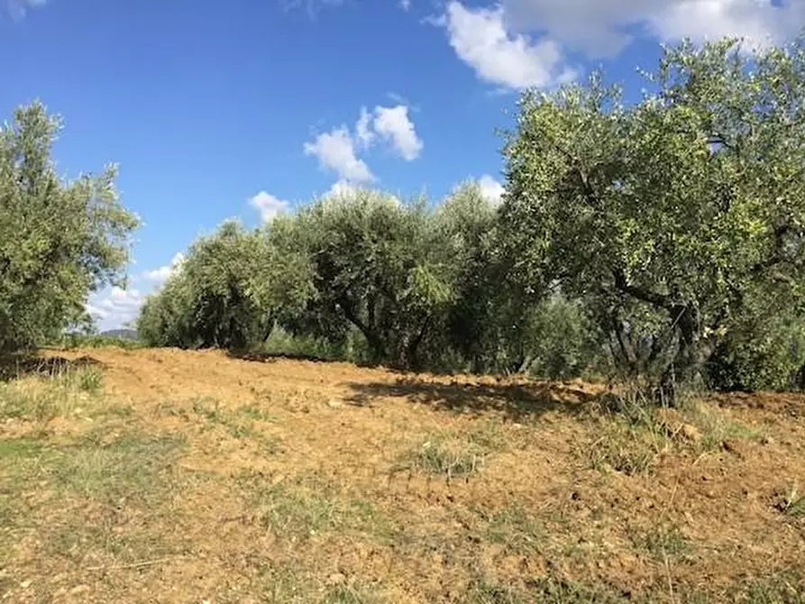 azienda agricola in vendita a Lastra a Signa