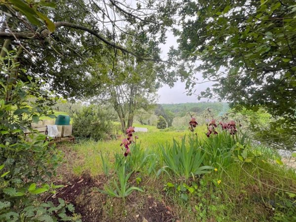 terreno agricolo in vendita a Lastra a Signa in zona La Lisca