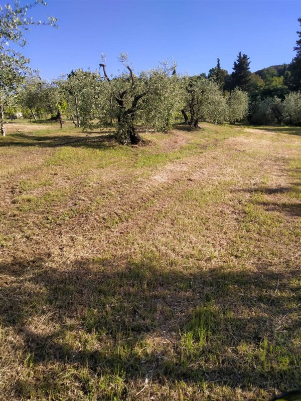 terreno agricolo in vendita a Lastra a Signa in zona San Romolo