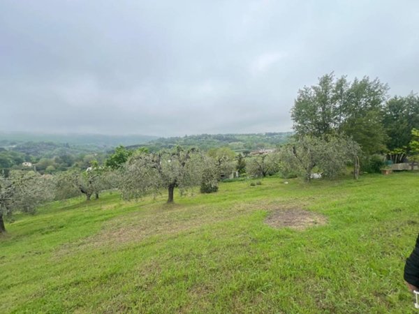 terreno agricolo in vendita a Lastra a Signa in zona La Lisca