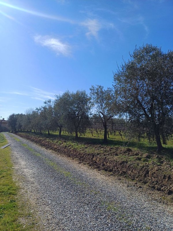terreno agricolo in vendita a Lastra a Signa in zona Bracciatica