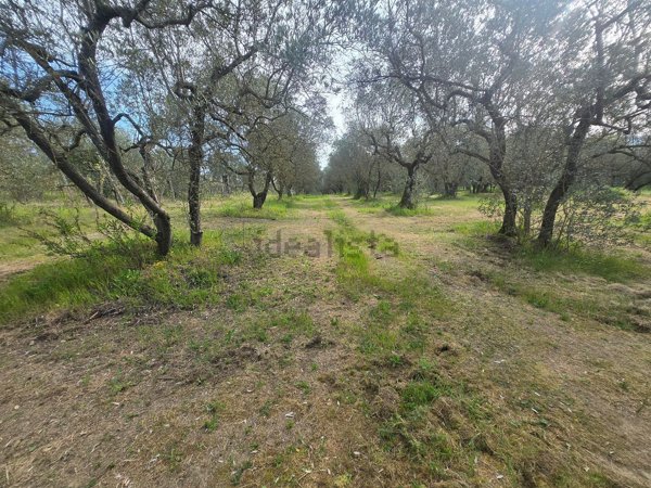 terreno edificabile in vendita a Lastra a Signa in zona Malmantile