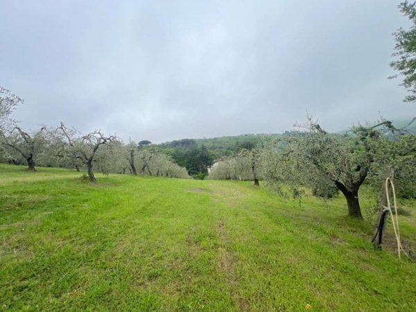 terreno agricolo in vendita a Lastra a Signa in zona La Lisca