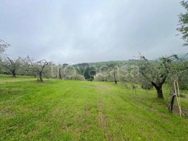 terreno agricolo in vendita a Lastra a Signa in zona La Lisca