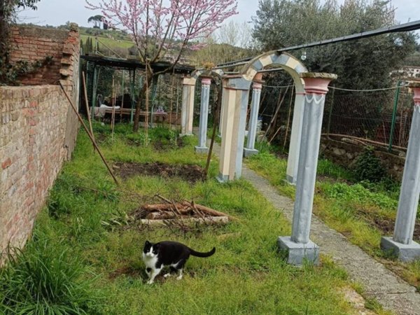 casa indipendente in vendita a Lastra a Signa