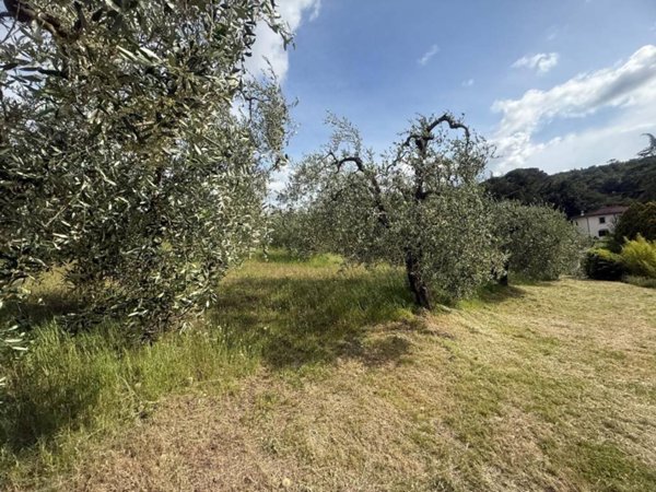 terreno agricolo in vendita a Lastra a Signa in zona La Lisca