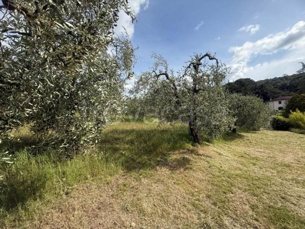 terreno agricolo in vendita a Lastra a Signa in zona La Lisca