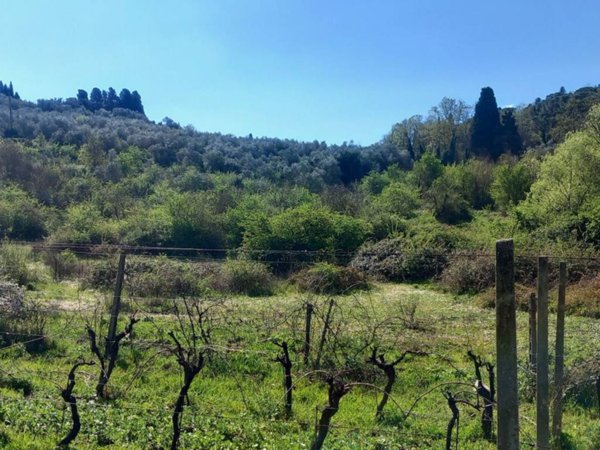 terreno agricolo in vendita a Lastra a Signa
