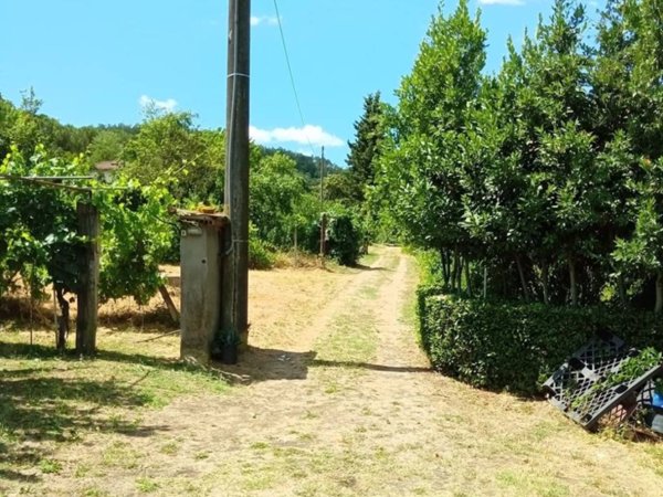 terreno agricolo in vendita a Lastra a Signa in zona Calcinaia