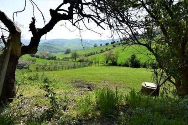 appartamento in vendita a Lastra a Signa in zona Calcinaia
