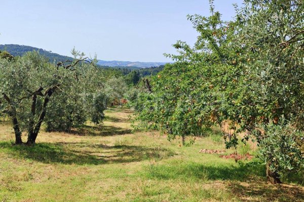 terreno agricolo in vendita a Lastra a Signa in zona San Romolo