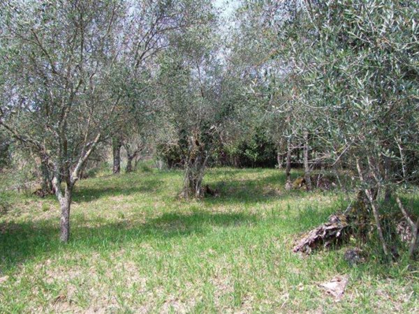 casa indipendente in vendita a Londa