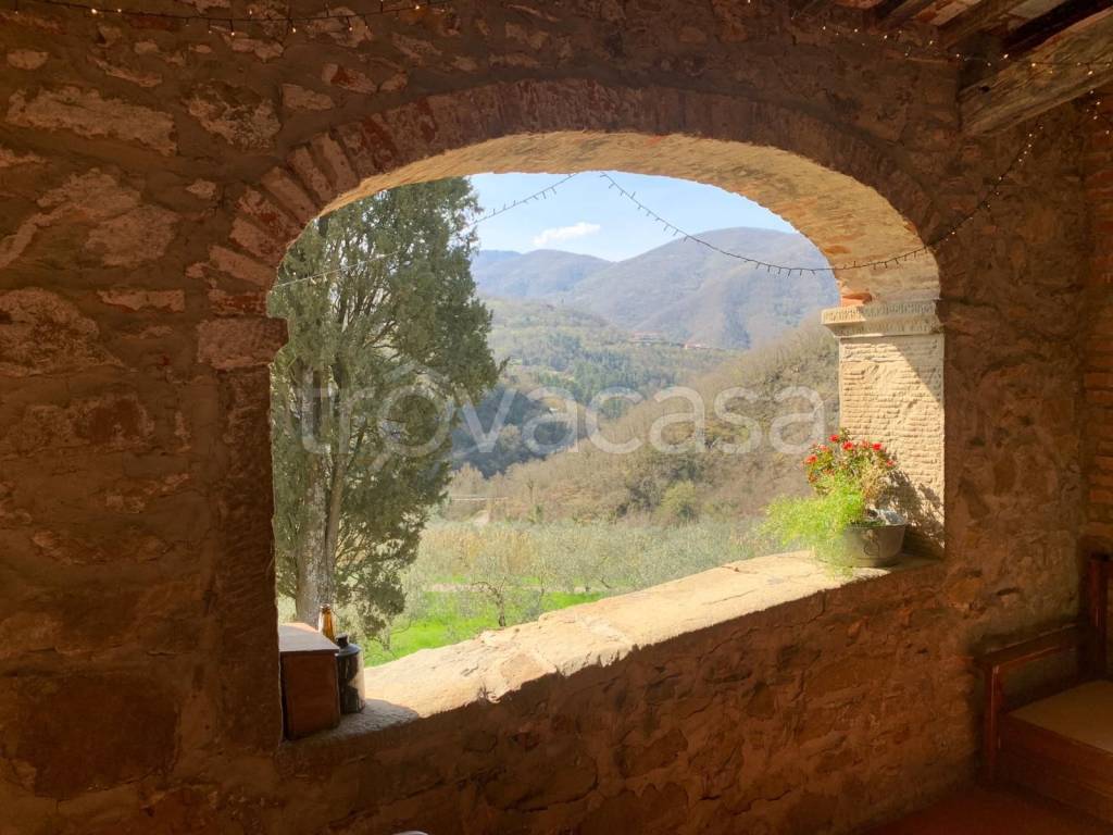 casa indipendente in vendita a Londa in zona Rincine